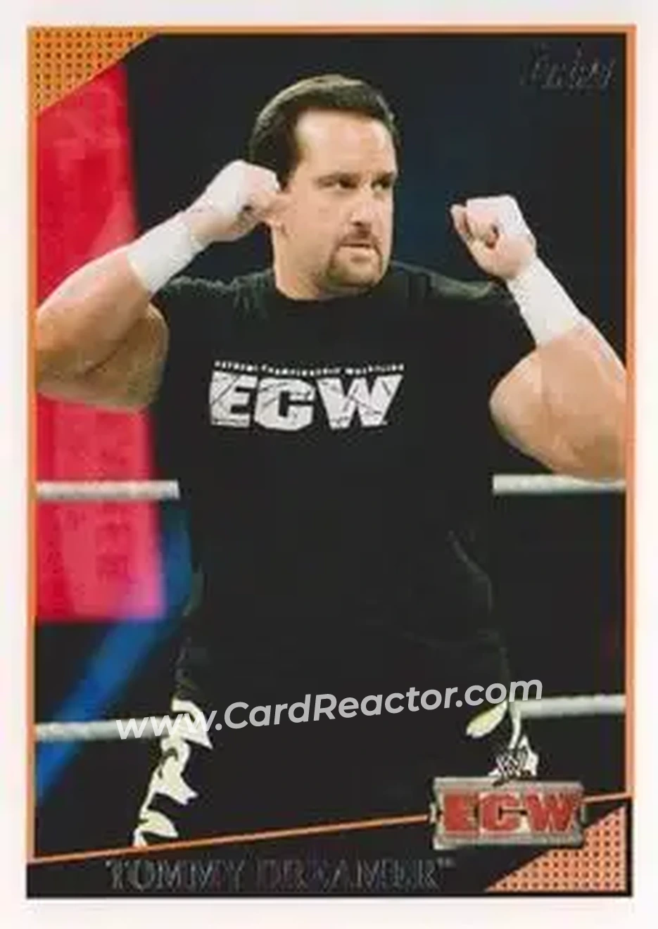 2009 Topps WWE #9 - Tommy Dreamer
