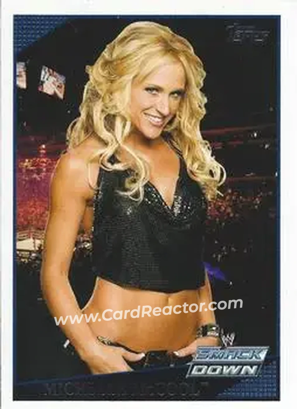 2009 Topps WWE #10 - Michelle McCool
