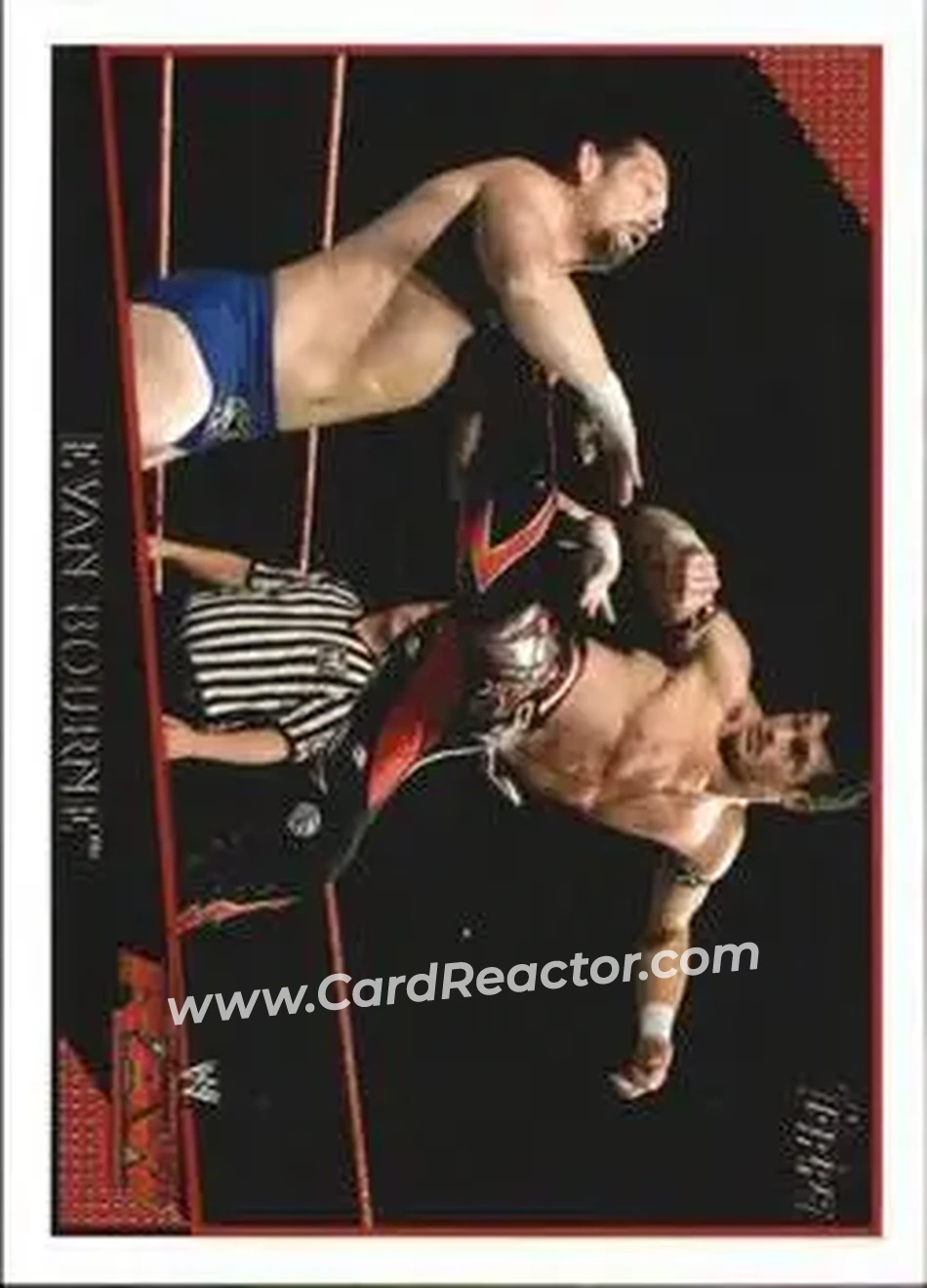2009 Topps WWE #15 - Matt Sydal