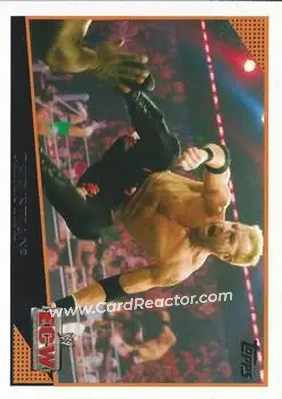 2009 Topps WWE #17 - Christian Cage