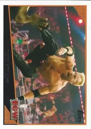 2009 Topps WWE feature card