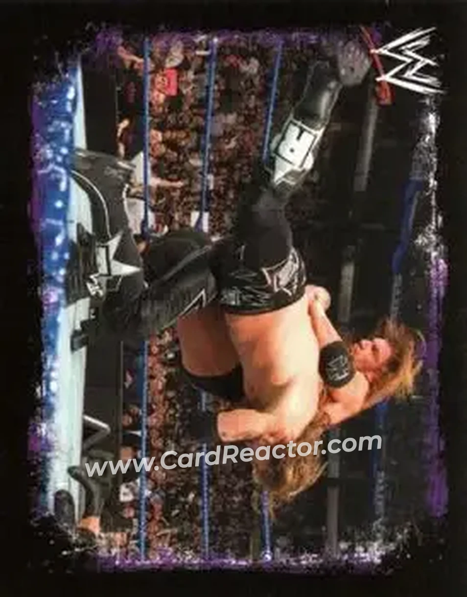 2009 Topps WWE Rivals #16 - Adam Copeland - Front
