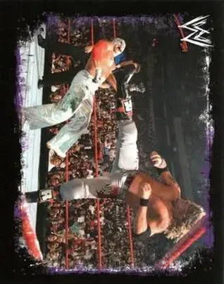 2009 Topps WWE Rivals #21 - Adam Copeland