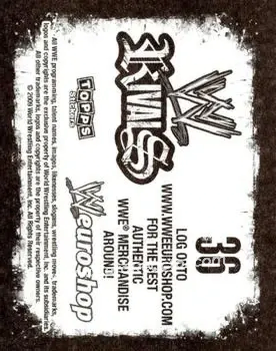 2009 Topps WWE Rivals #36 - Mr. Anderson - Back
