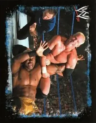 2009 Topps WWE Rivals #36 - Mr. Anderson