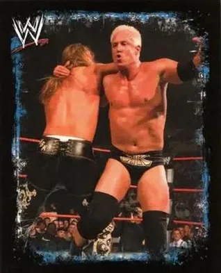 2009 Topps WWE Rivals #37 - Mr. Anderson