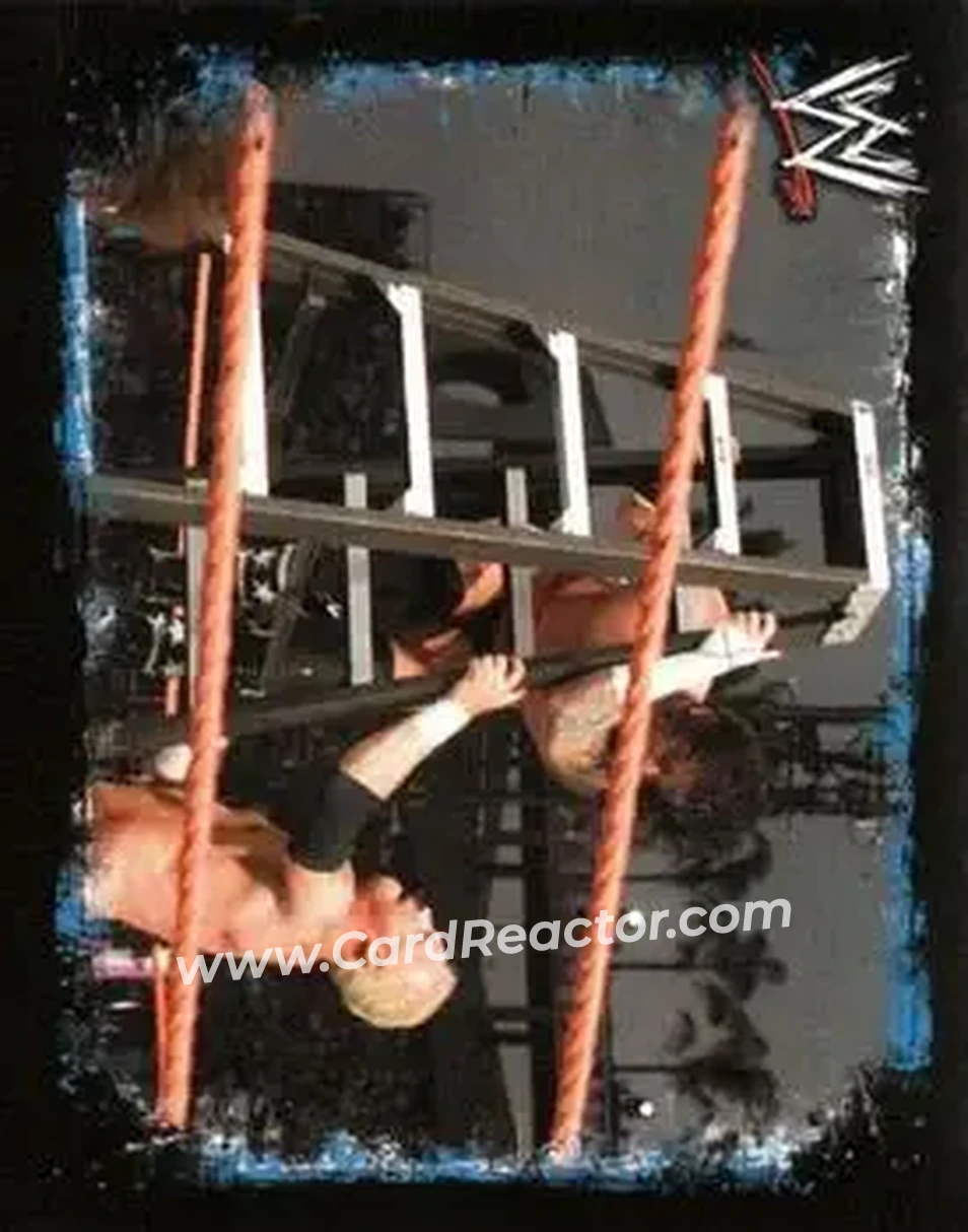 2009 Topps WWE Rivals #38 - Mr. Anderson - Front