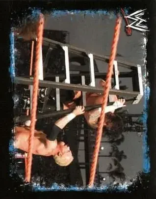 2009 Topps WWE Rivals #38 - Mr. Anderson