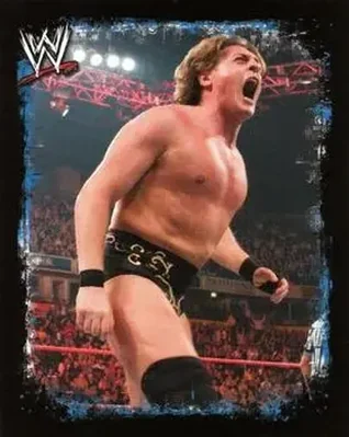 2009 Topps WWE Rivals feature card