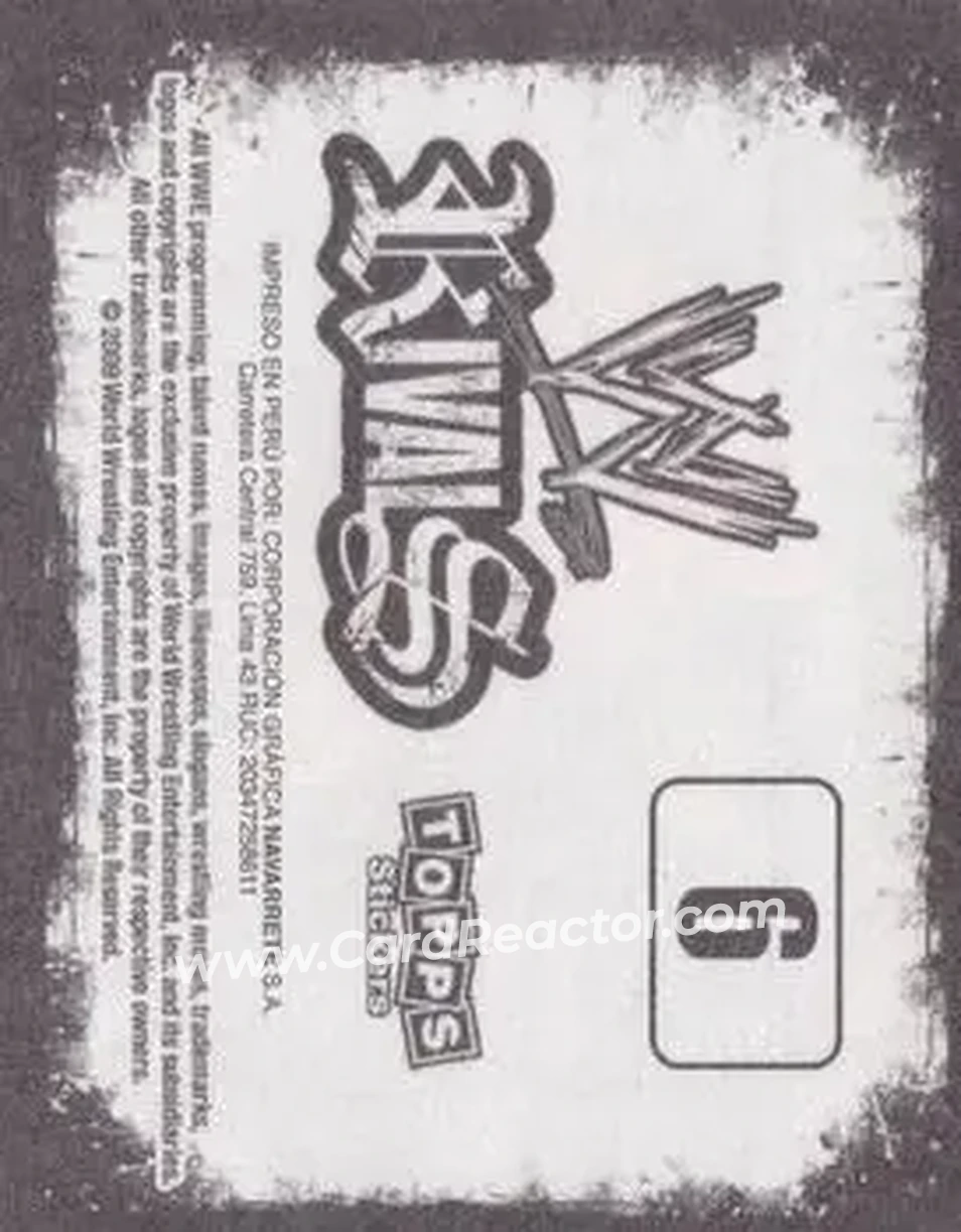 2009 Topps WWE Rivals Spanish #6 - John Cena - Back