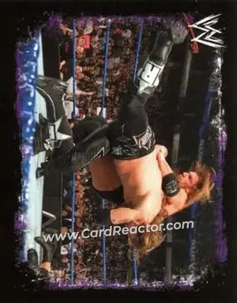2009 Topps WWE Rivals Spanish #16 - Adam Copeland - Front 2009 Topps WWE Rivals Spanish #16 - Adam Copeland - Front