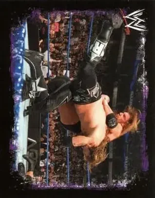 2009 Topps WWE Rivals Spanish #16 - Adam Copeland