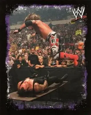 2009 Topps WWE Rivals Spanish #20 - Adam Copeland