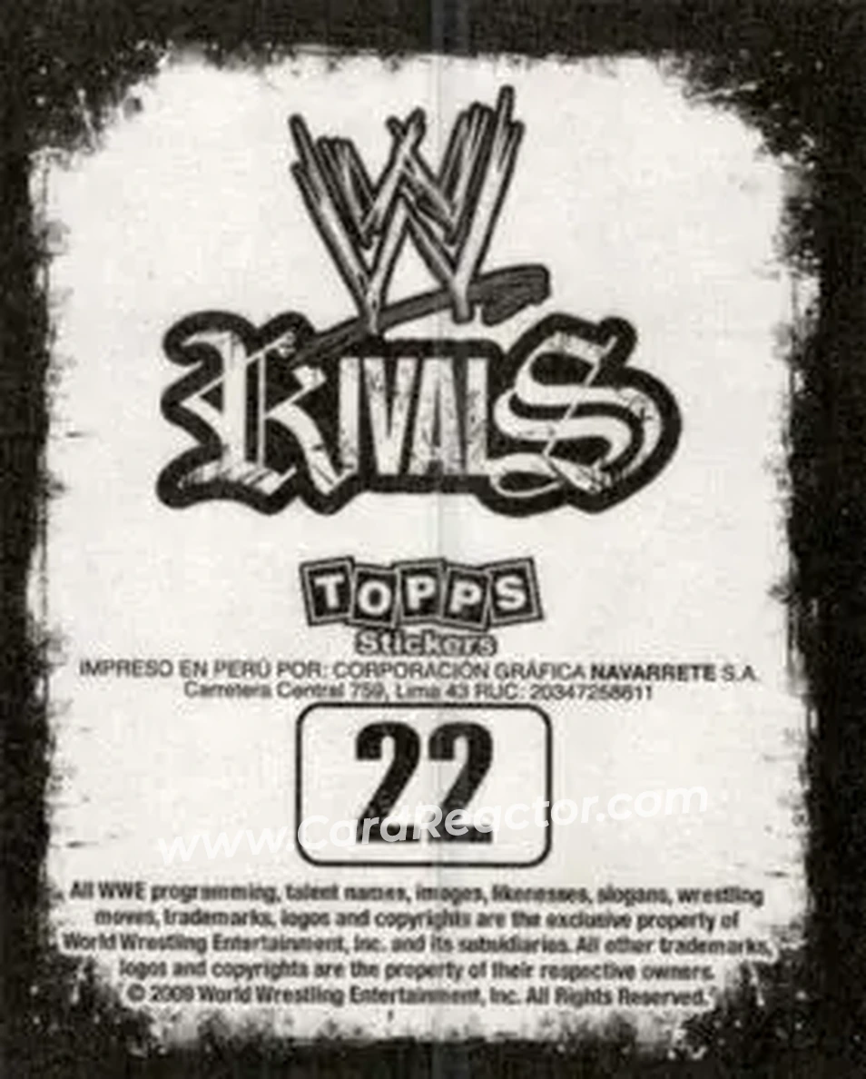 2009 Topps WWE Rivals Spanish #22 - Adam Copeland - Back