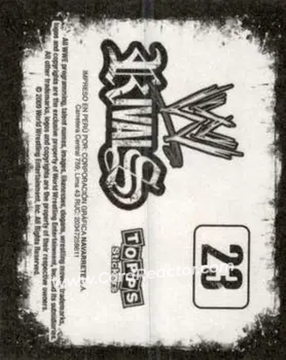 2009 Topps WWE Rivals Spanish #23 - Adam Copeland - Back