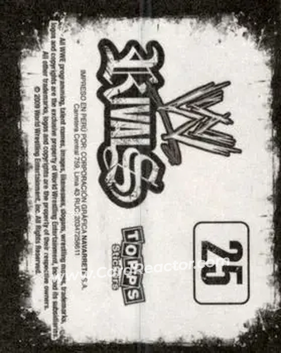 2009 Topps WWE Rivals Spanish #25 - Kane - Back