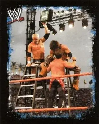 2009 Topps WWE Rivals Spanish #34 - Mr. Anderson