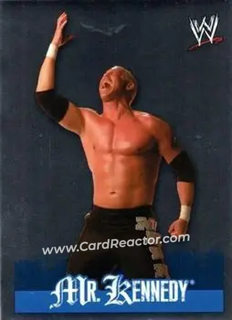 2009 Topps WWE Rivals Spanish #35 - Mr. Anderson - Front