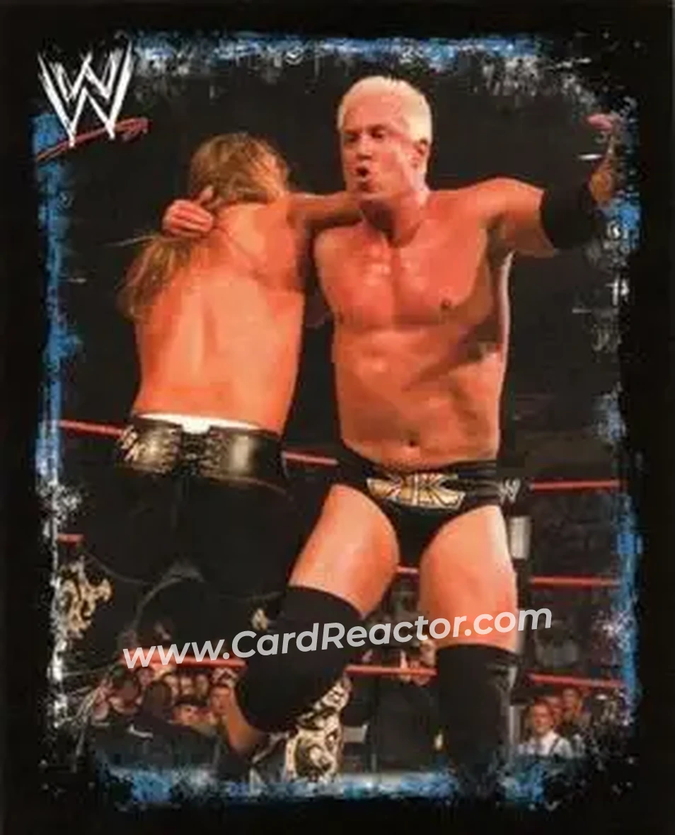 2009 Topps WWE Rivals Spanish #37 - Mr. Anderson - Front