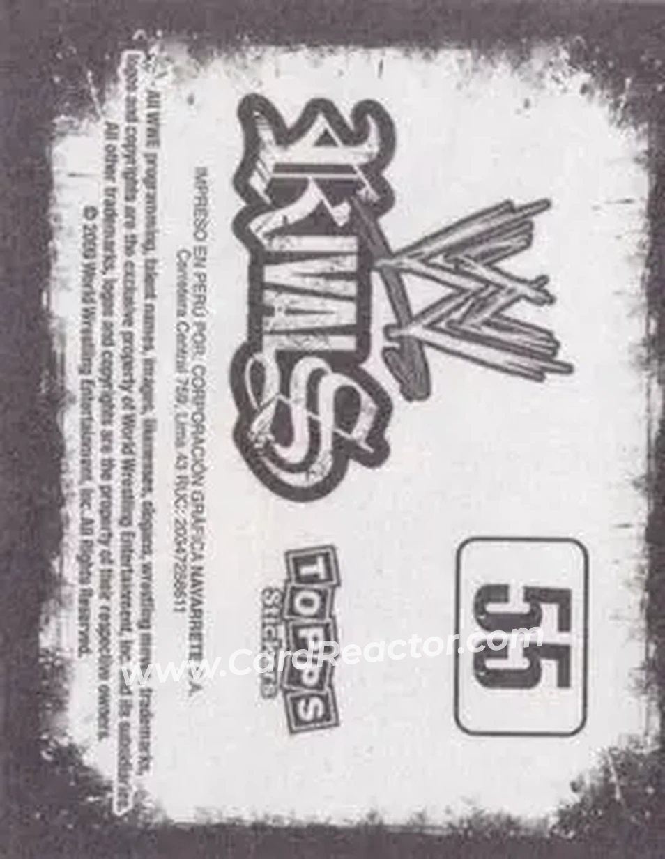 2009 Topps WWE Rivals Spanish #55 - CM Punk - Back