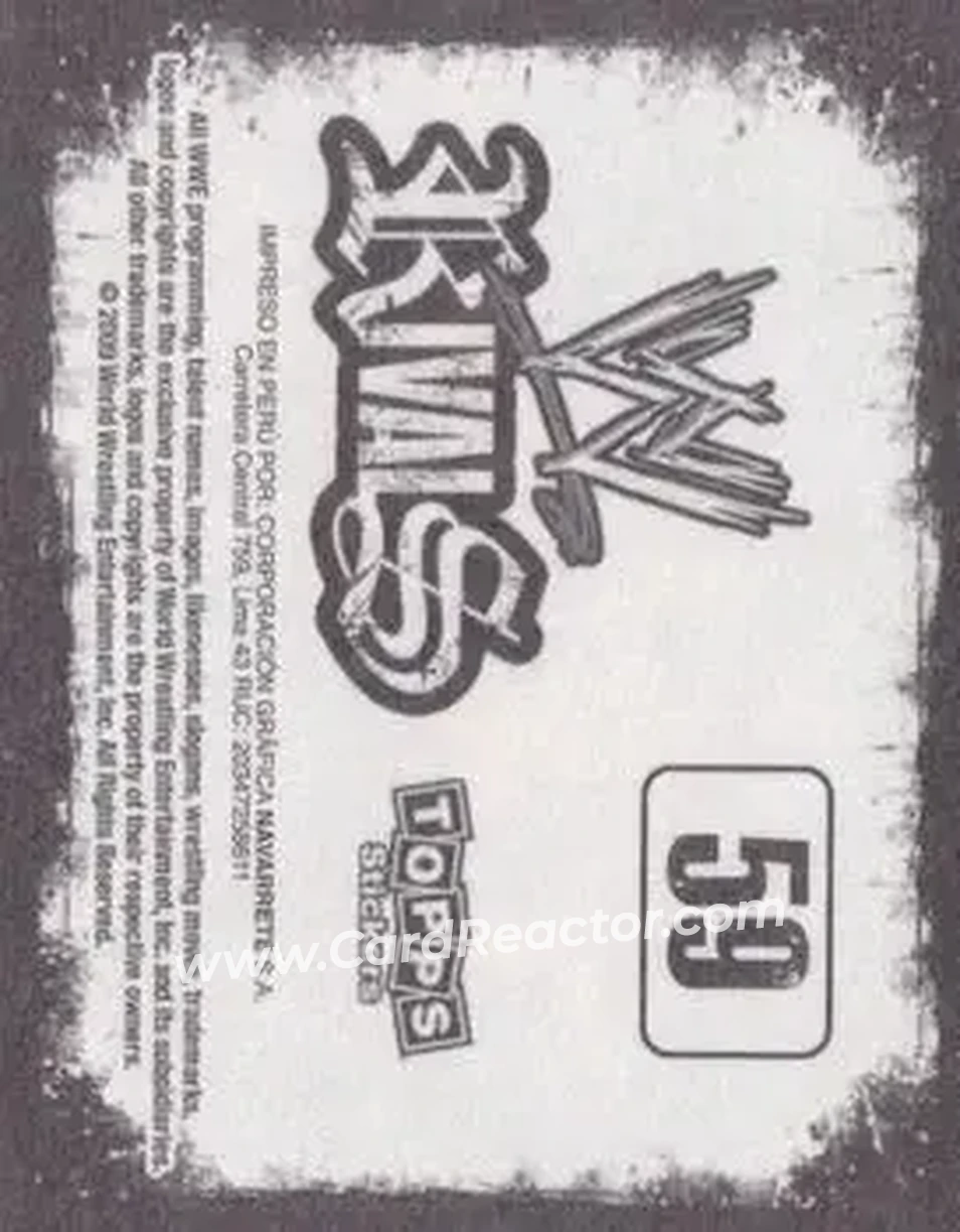 2009 Topps WWE Rivals Spanish #59 - CM Punk - Back