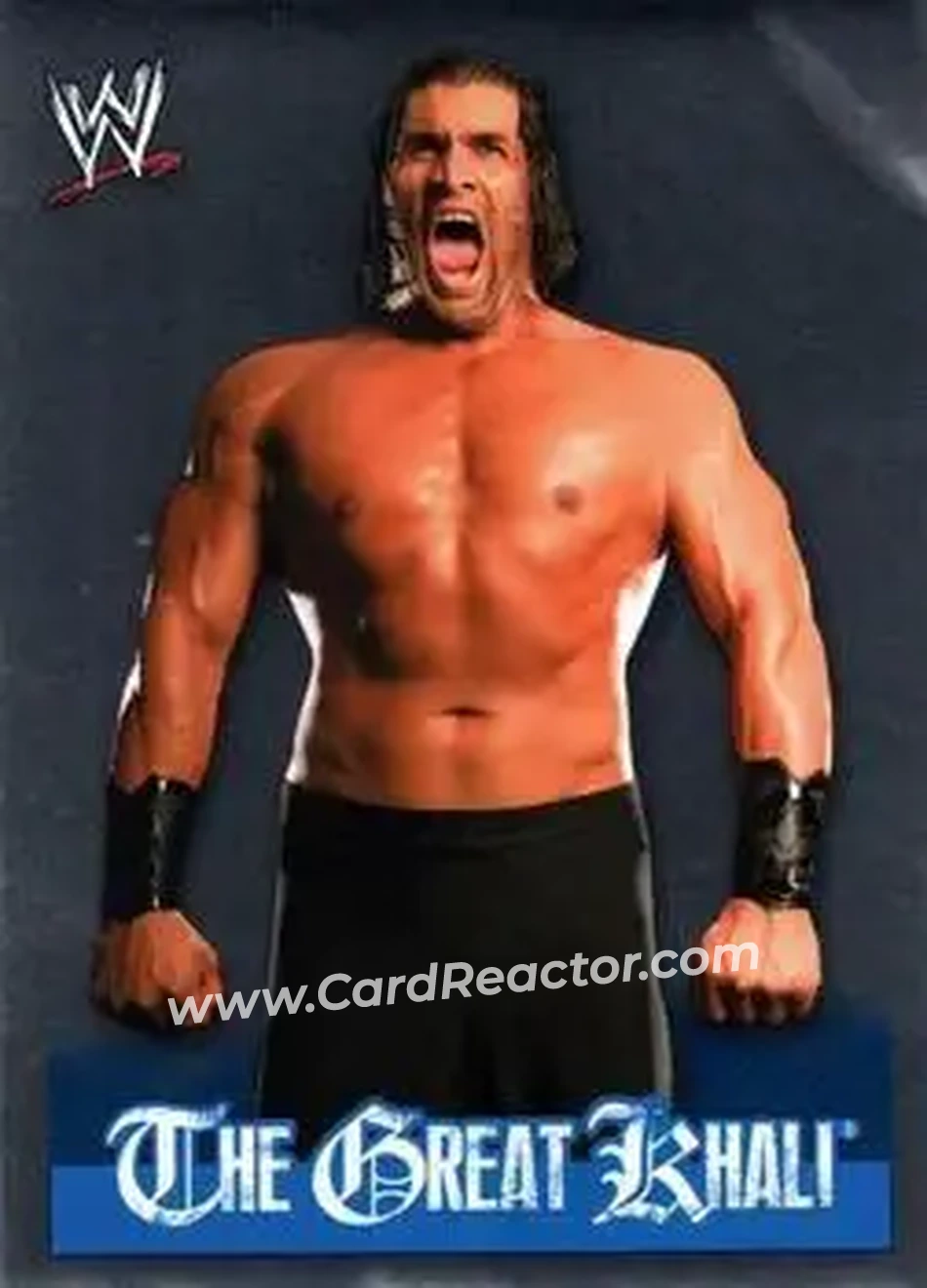 2009 Topps WWE Rivals Spanish #64 - The Great Khali - Front