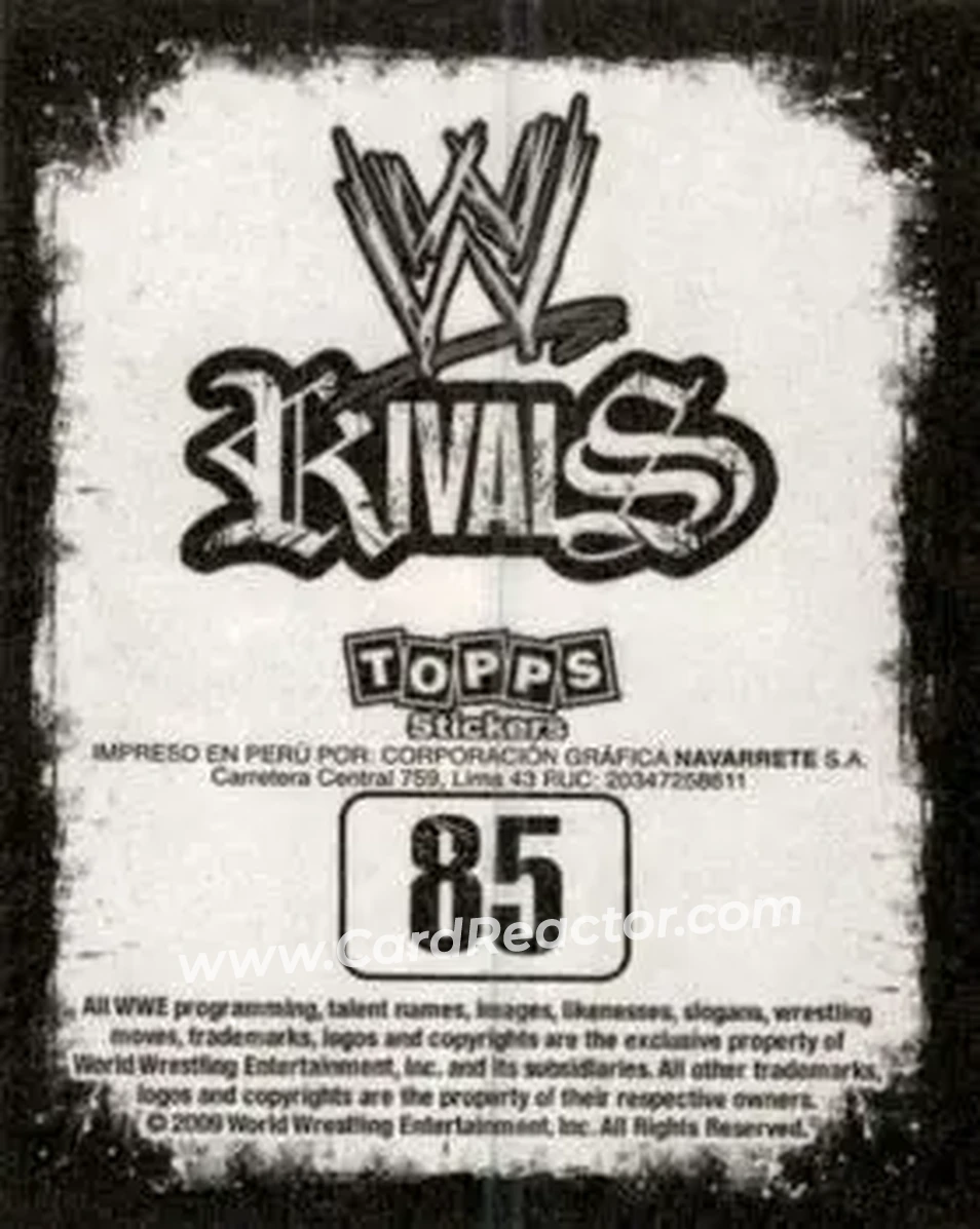 2009 Topps WWE Rivals Spanish #85 - Jeff Hardy - Back