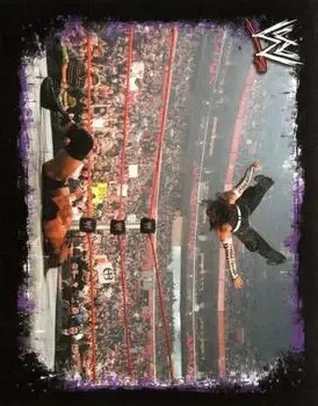 2009 Topps WWE Rivals Spanish #86 - Jeff Hardy