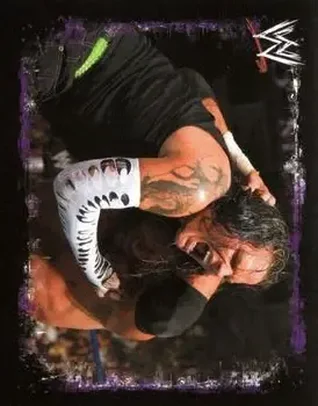 2009 Topps WWE Rivals Spanish #88 - Jeff Hardy