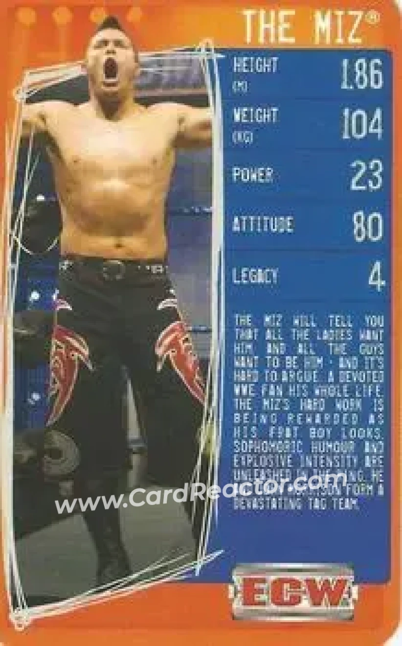 2009 Top Trumps Specials WWE 3D (U.K.) #NNO - The Miz - Front