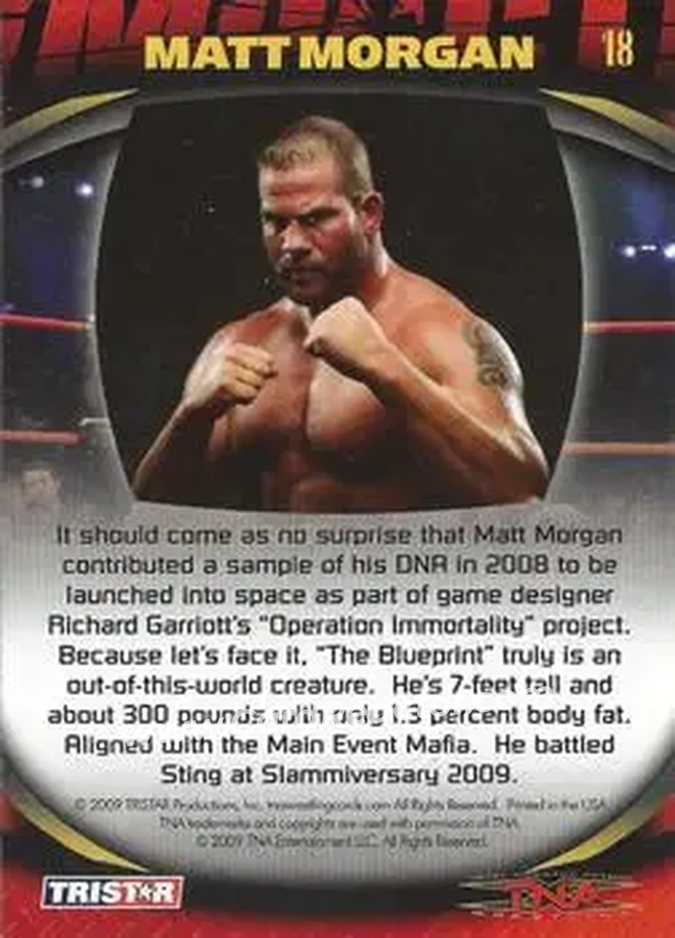 2009 TriStar TNA Impact #18 - Matt Morgan - Back