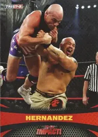 2009 TriStar TNA Impact feature card