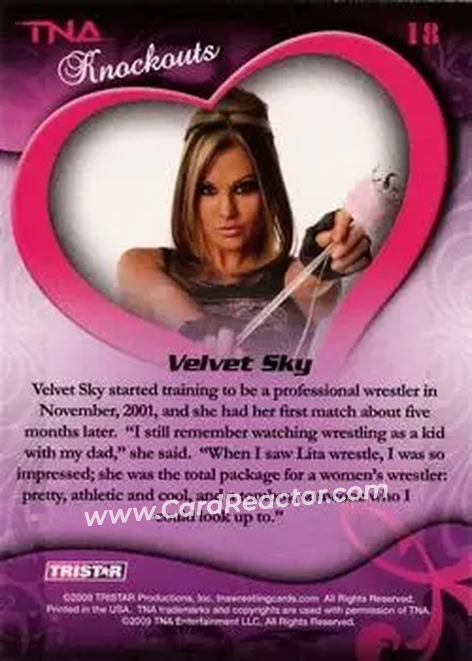 2009 TriStar TNA Knockouts #18 - Velvet Sky - Back