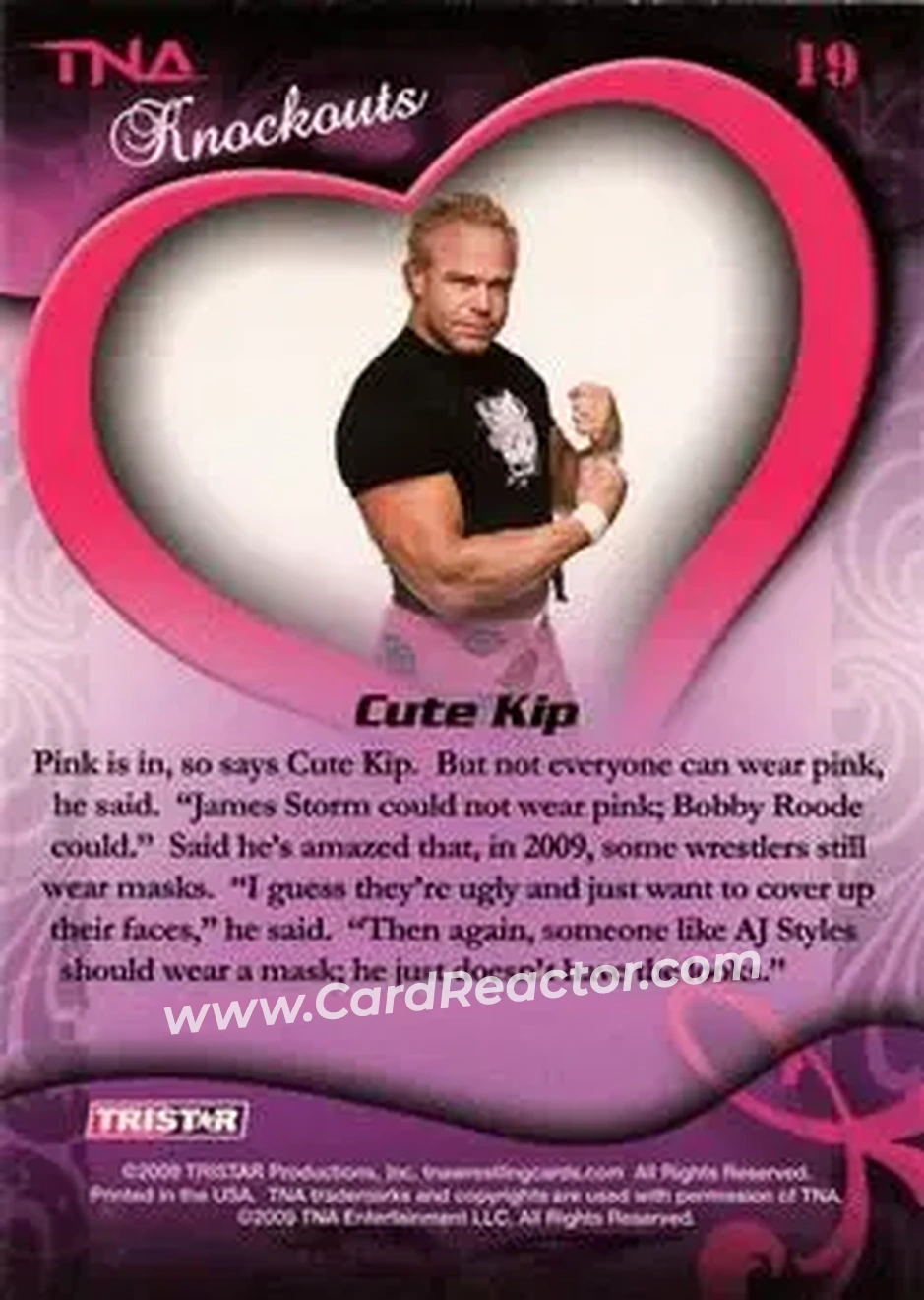 2009 TriStar TNA Knockouts #19 - Billy Gunn - Back