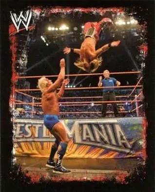 2009 Topps WWE Rivals Spanish #104 - Shawn Michaels