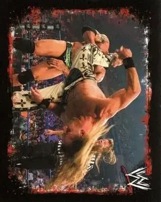 2009 Topps WWE Rivals Spanish #106 - Shawn Michaels