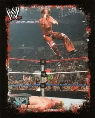 2009 Topps WWE Rivals Spanish #107 - Shawn Michaels