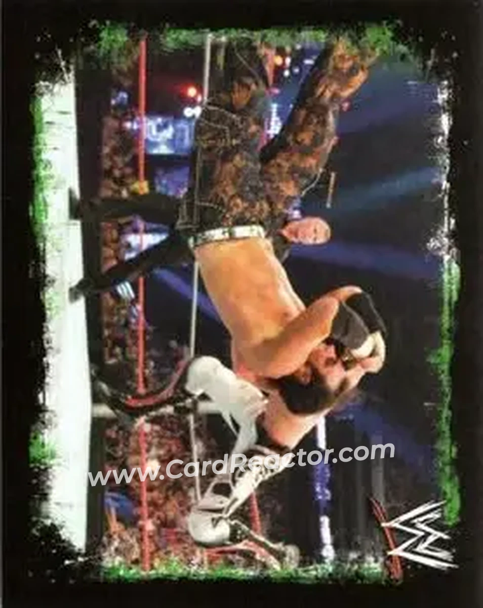 2009 Topps WWE Rivals Spanish #135 - Matt Hardy - Front
