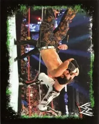 2009 Topps WWE Rivals Spanish #135 - Matt Hardy