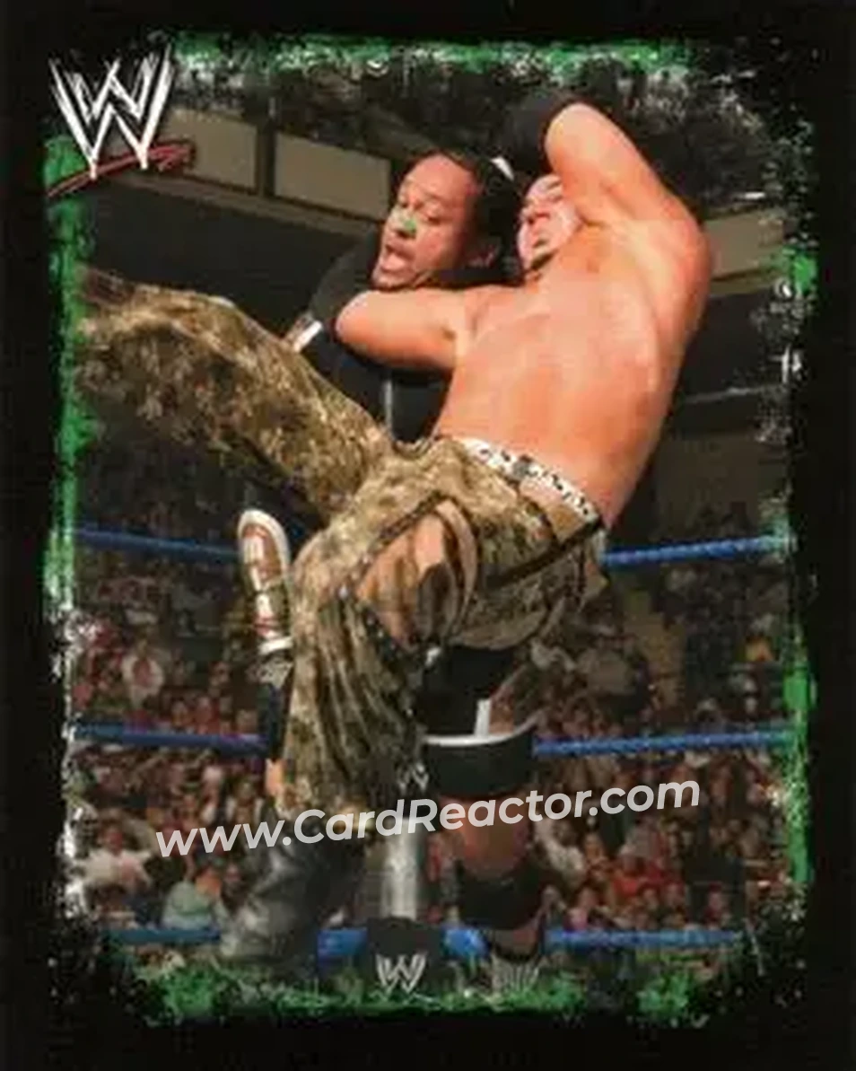2009 Topps WWE Rivals Spanish #136 - Matt Hardy - Front