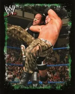2009 Topps WWE Rivals Spanish #136 - Matt Hardy
