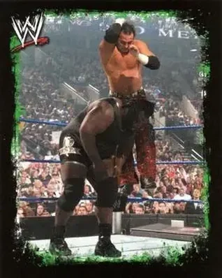 2009 Topps WWE Rivals Spanish #138 - Matt Hardy