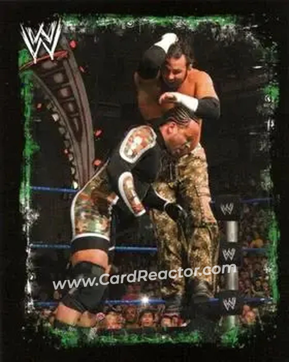2009 Topps WWE Rivals Spanish #139 - Matt Hardy - Front