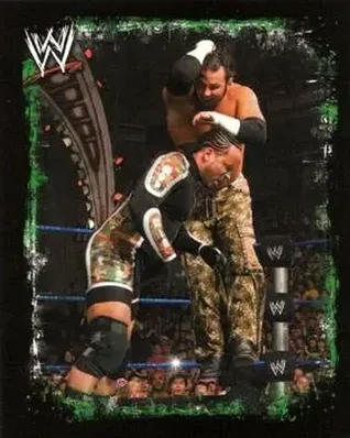 2009 Topps WWE Rivals Spanish #139 - Matt Hardy