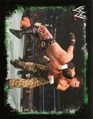 2009 Topps WWE Rivals Spanish #141 - Matt Hardy