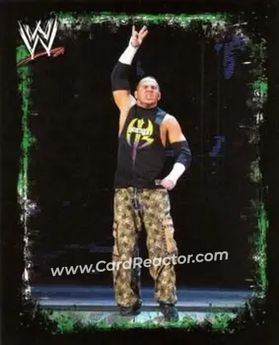 2009 Topps WWE Rivals Spanish #142 - Matt Hardy - Front