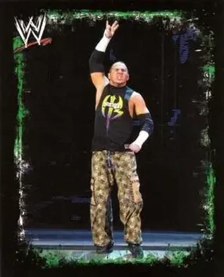2009 Topps WWE Rivals Spanish #142 - Matt Hardy