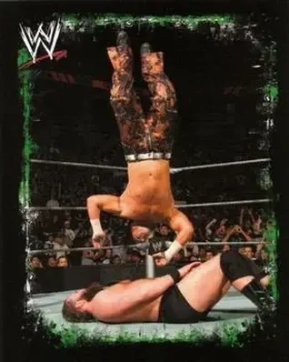 2009 Topps WWE Rivals Spanish #143 - Matt Hardy