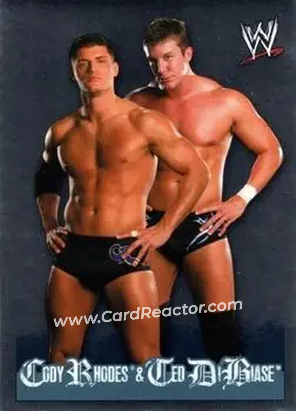 2009 Topps WWE Rivals Spanish #154 - Cody Rhodes & Ted Dibiase - Front