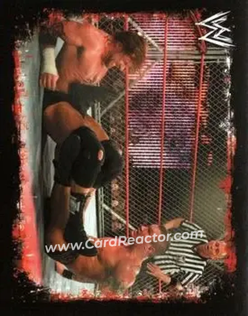 2009 Topps WWE Rivals Spanish #209 - Randy Orton - Front